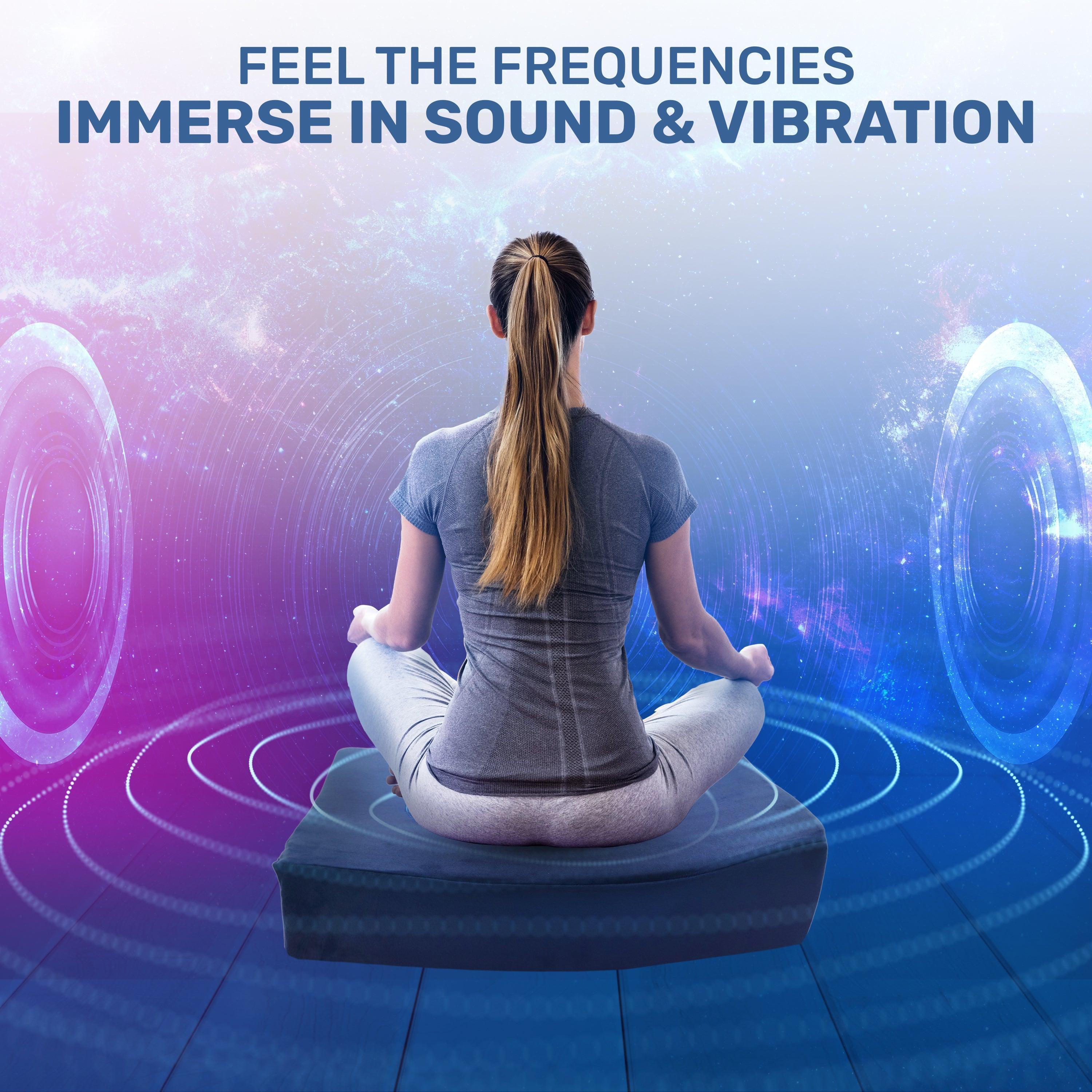 Vibroacoustic Solutions - Therapy Meditation Cushion bundle with custom amplifier