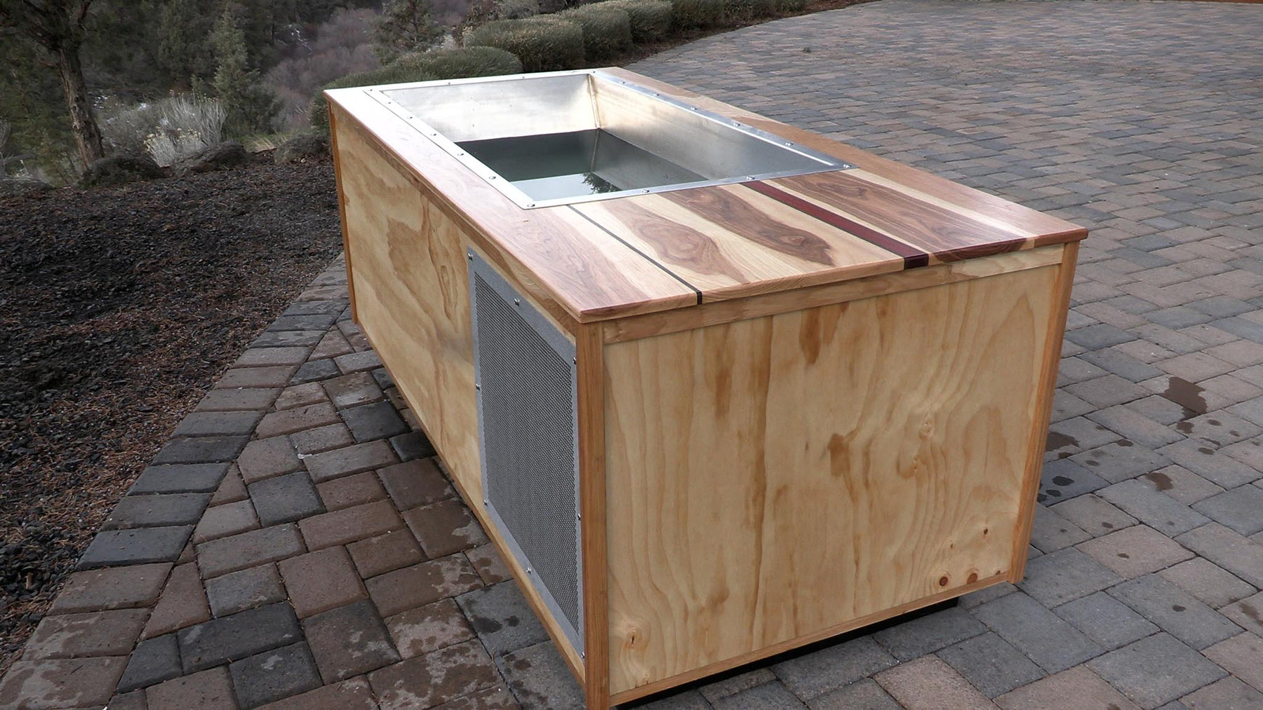 BlueCube Mini-Me Custom Cold Plunge