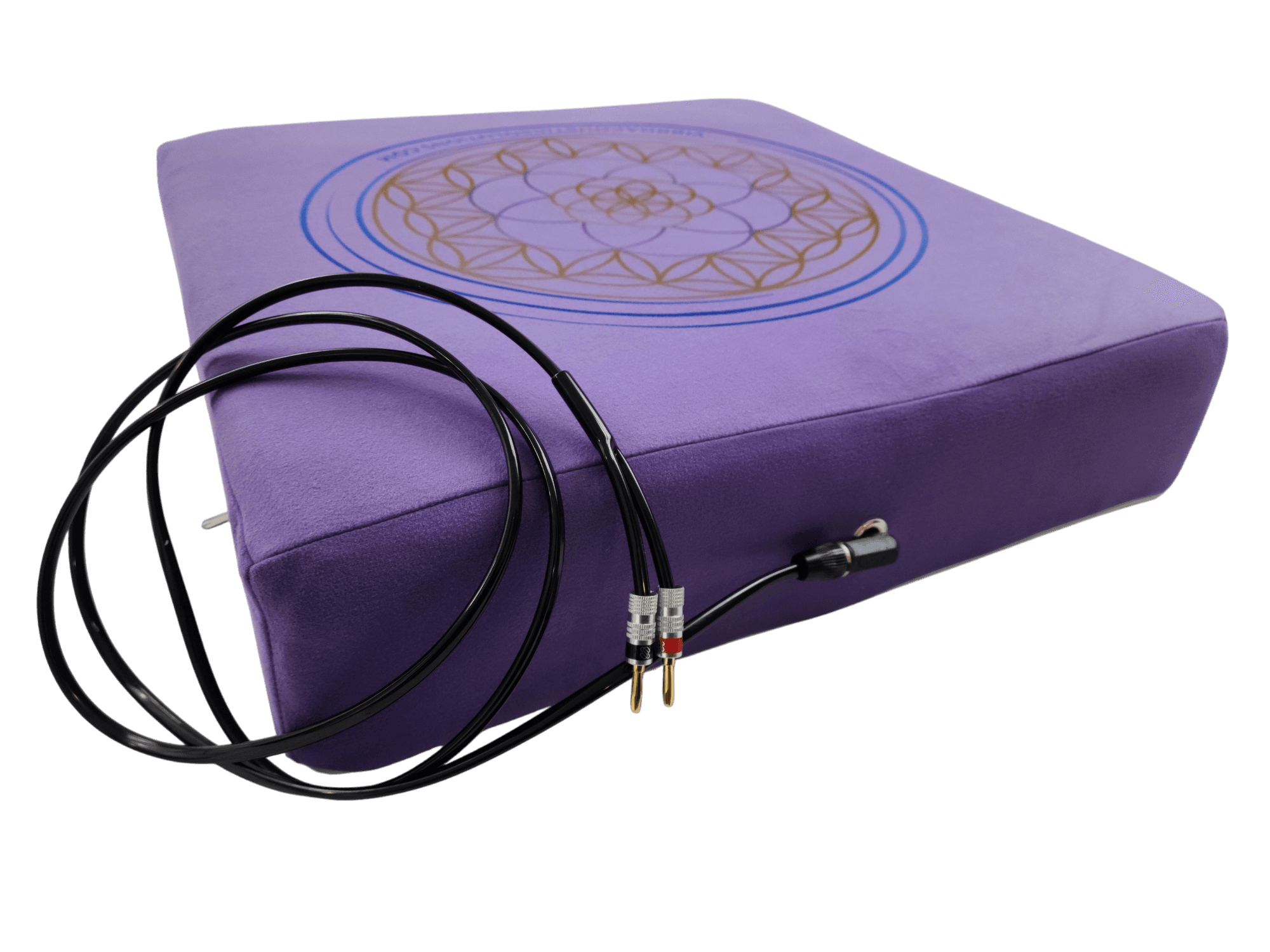 Vibroacoustic Solutions - Therapy Meditation Cushion bundle with custom amplifier