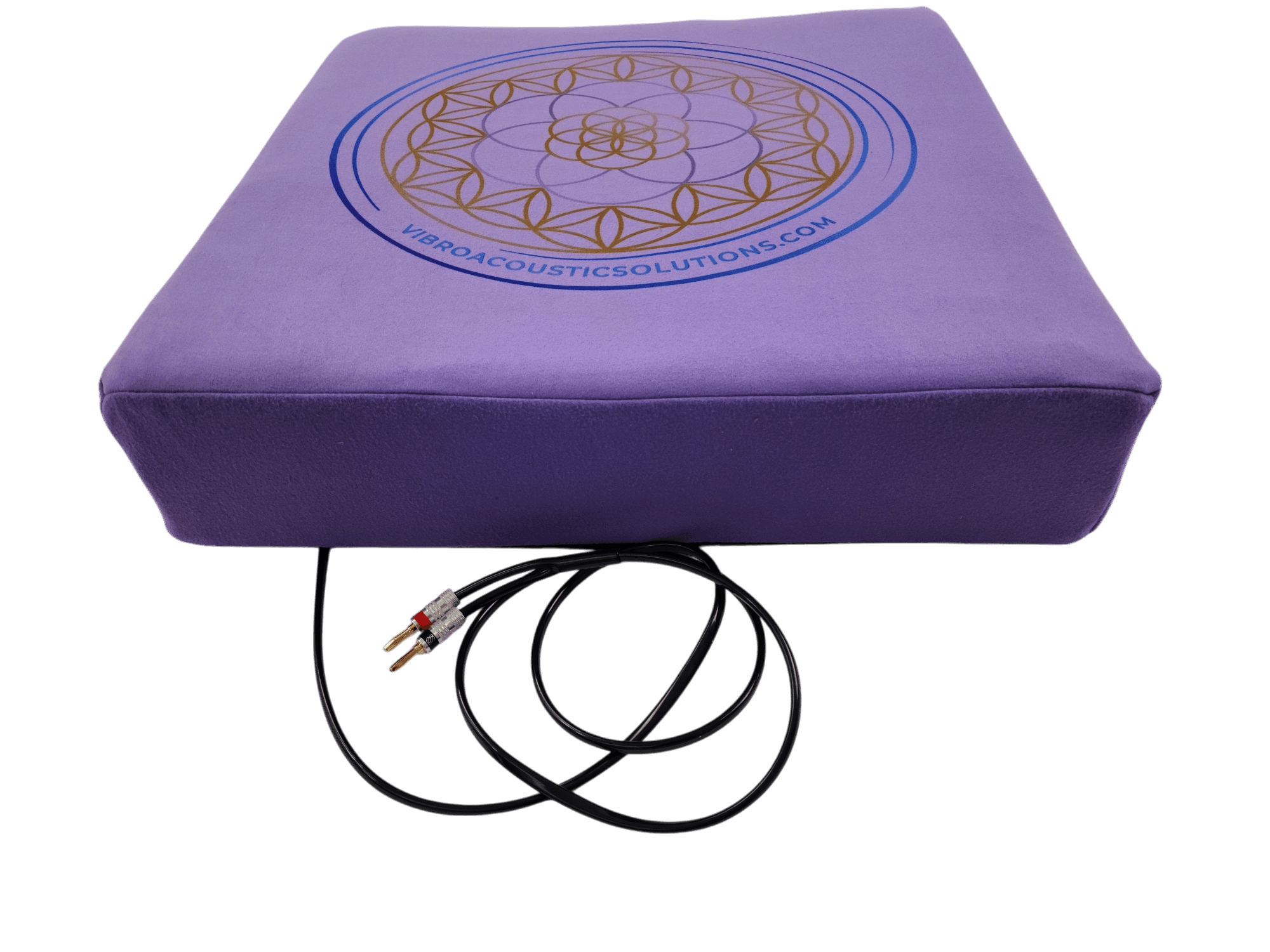 Vibroacoustic Solutions - Therapy Meditation Cushion bundle with custom amplifier