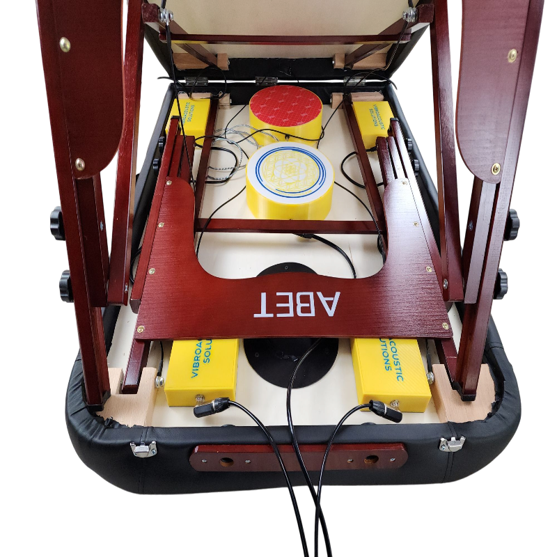 Vibroacoustic Therapy Massage Table - 750lb Capacity, Bluetooth, Portable, 8 Transducers