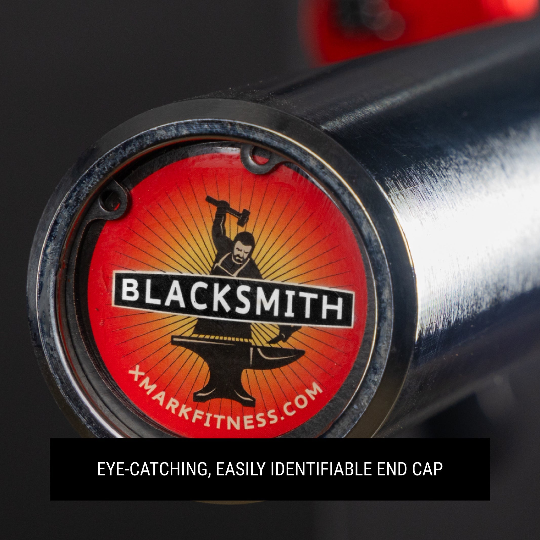 XMARK - Blacksmith EZ Curl Bar, Fits Olympic Weight Plates
